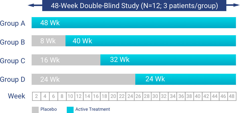 The 1-1-1 Study Plan 